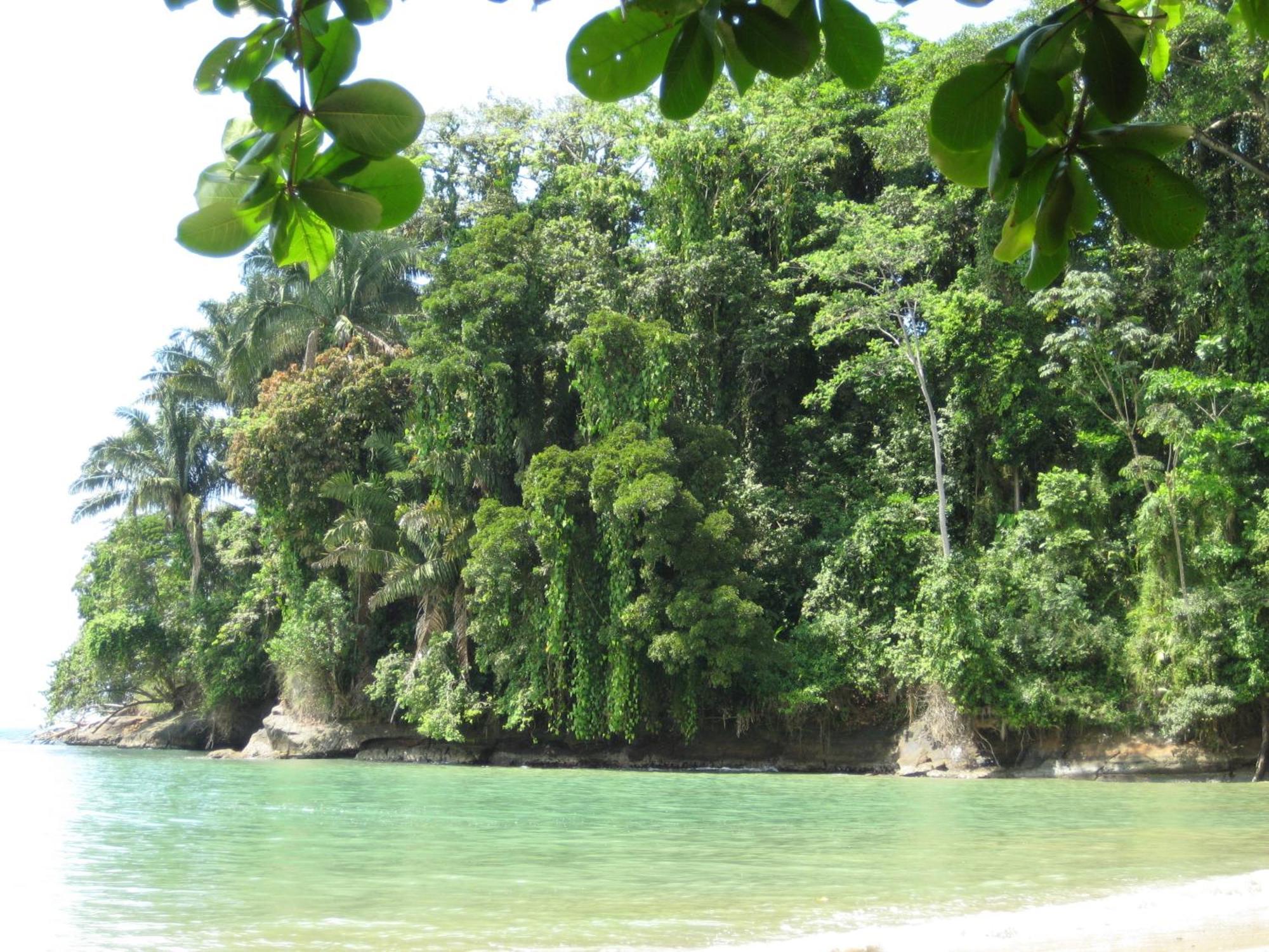 El Tucan Jungle Lodge Puerto Viejo de Talamanca Eksteriør bilde