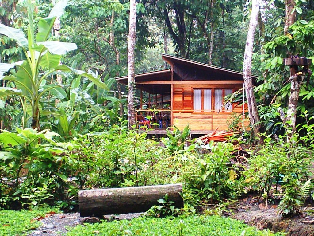 El Tucan Jungle Lodge Puerto Viejo de Talamanca Eksteriør bilde