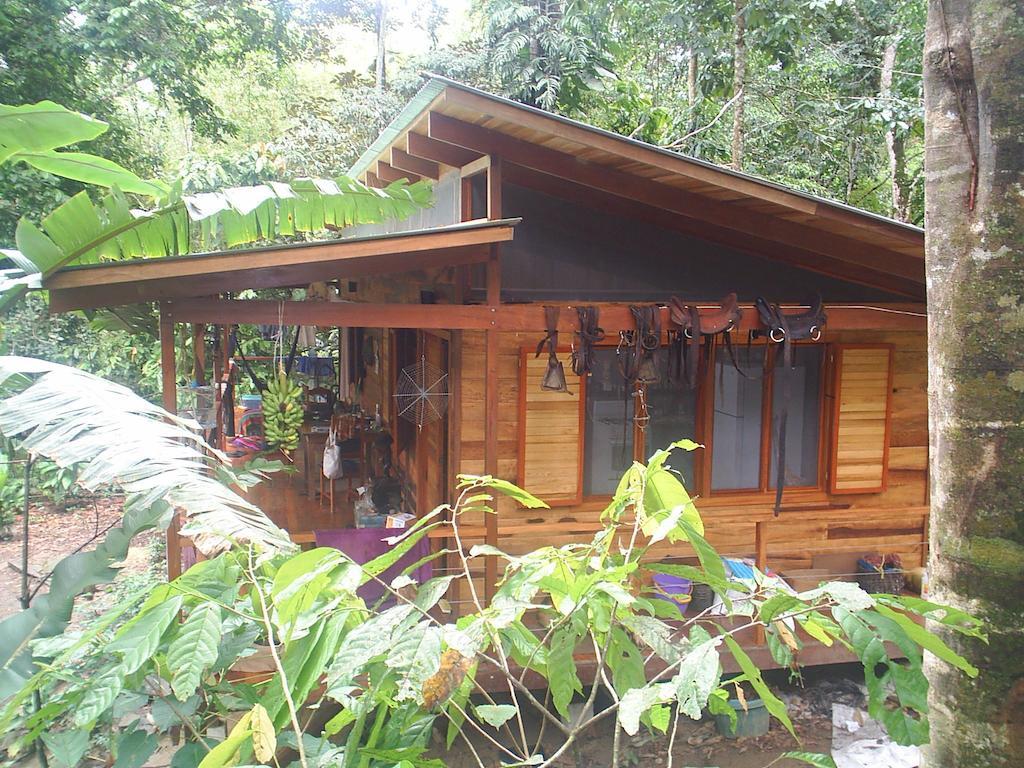 El Tucan Jungle Lodge Puerto Viejo de Talamanca Rom bilde