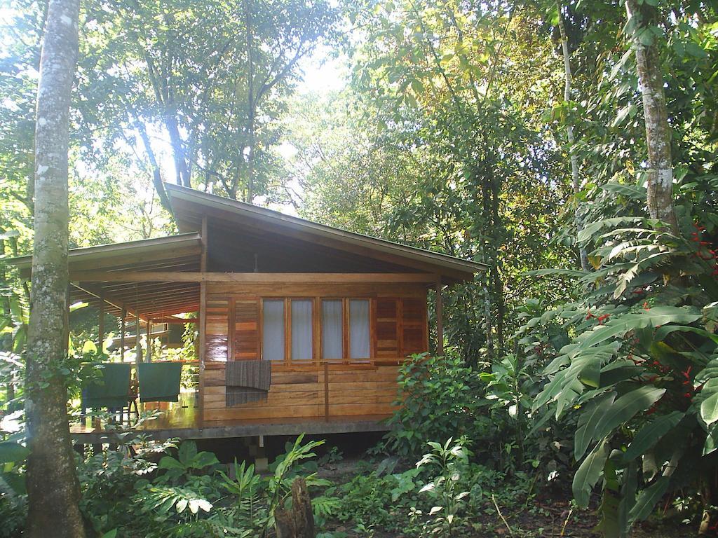 El Tucan Jungle Lodge Puerto Viejo de Talamanca Rom bilde