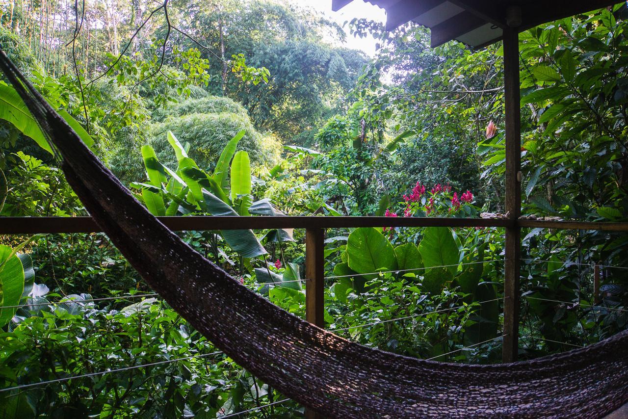 El Tucan Jungle Lodge Puerto Viejo de Talamanca Eksteriør bilde