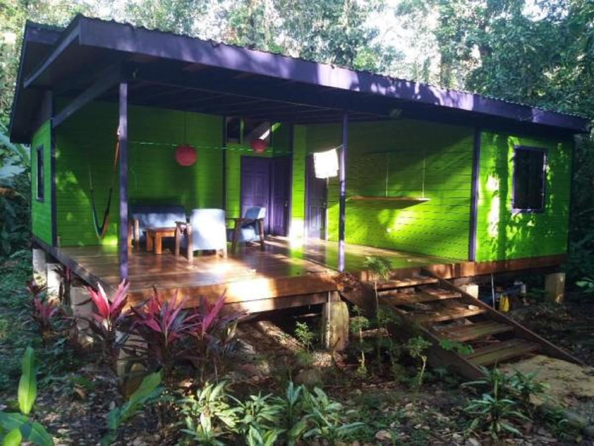 El Tucan Jungle Lodge Puerto Viejo de Talamanca Eksteriør bilde