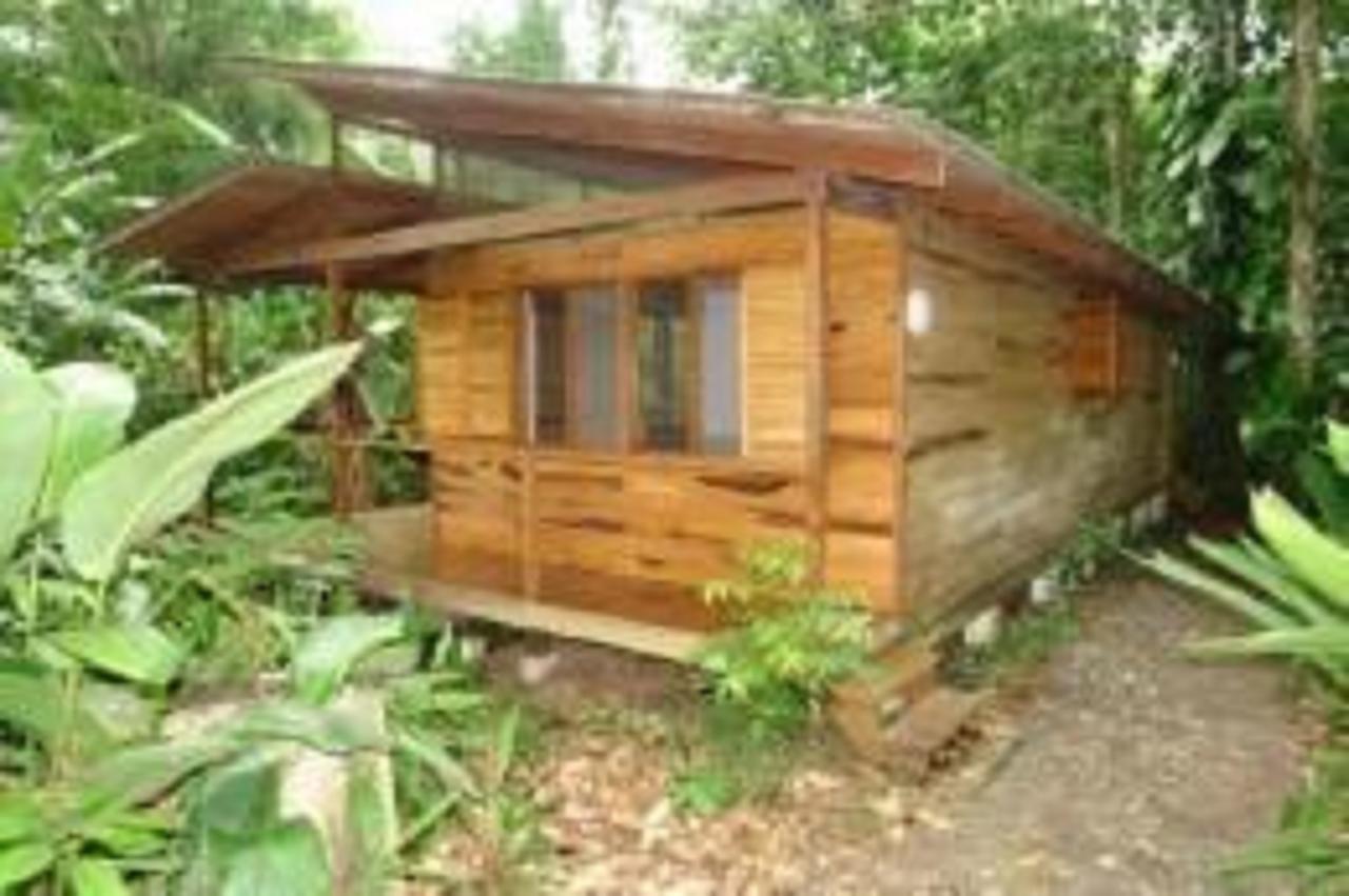 El Tucan Jungle Lodge Puerto Viejo de Talamanca Eksteriør bilde