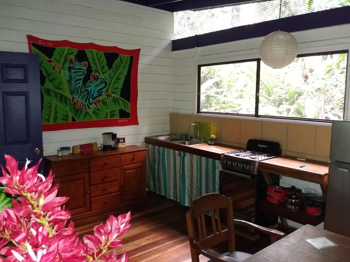 El Tucan Jungle Lodge Puerto Viejo de Talamanca Eksteriør bilde