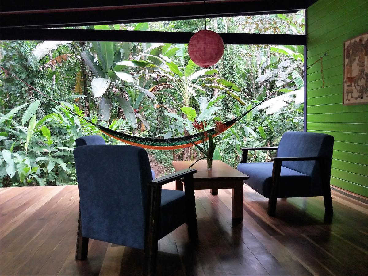 El Tucan Jungle Lodge Puerto Viejo de Talamanca Eksteriør bilde